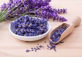 Product: Lavender (Lavandula)
